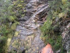 DSCN0724 DSCN0724