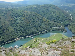 IMG_2788 IMG_2788