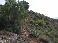 mtb olocau 034 mtb olocau 034