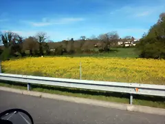 DSCN1784 DSCN1784