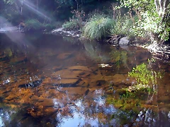 DSCN1956 DSCN1956