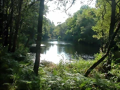 DSCN1960 DSCN1960