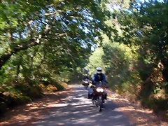 DSCN1949