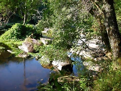DSCN1981 DSCN1981