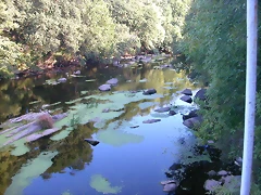 DSCN1976 DSCN1976