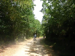 DSCN2036 DSCN2036