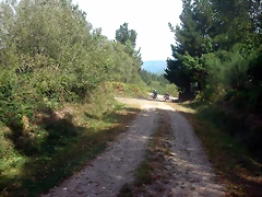 DSCN2043 DSCN2043