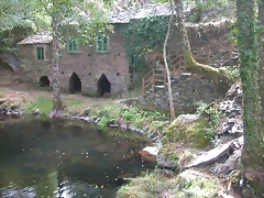 DSCN2066 DSCN2066