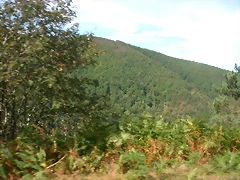 DSCN2039 DSCN2039
