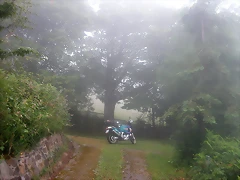 DSCN3955 DSCN3955