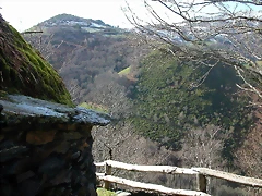 DSCN7799 DSCN7799