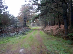 DSCN9391 DSCN9391