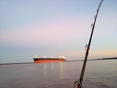 pesca variada 026