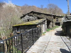 IMG_0131 IMG_0131