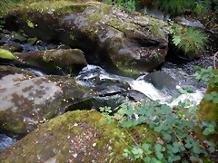 DSCN8450 DSCN8450