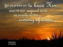 press_on_to_know_him