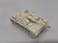 STG19