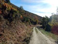 DSCN0025 DSCN0025