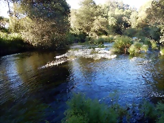 DSCN9741 DSCN9741