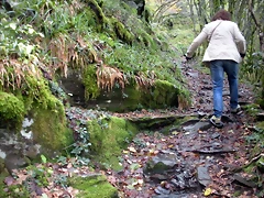 DSCN0667 DSCN0667
