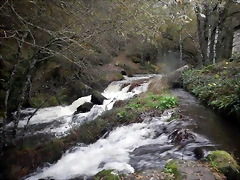 DSCN2763 DSCN2763