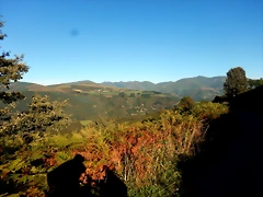 DSCN0658 DSCN0658