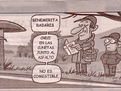 Meleterica