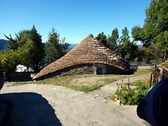 DSCN0341 DSCN0341
