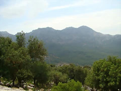 Sierra 005 Sierra 005