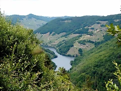 DSCN3505 DSCN3505
