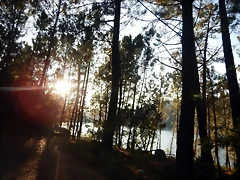 DSCN1710 DSCN1710