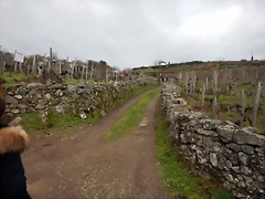 DSCN1344 DSCN1344