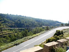 DSCN2338 DSCN2338