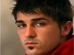 David Villa