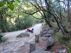 IMG_8504 IMG_8504
