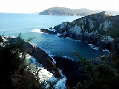 DSCN3038 DSCN3038