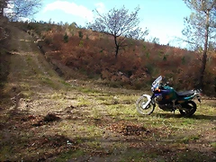 DSCN6430 DSCN6430