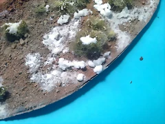 20170731_103858 20170731_103858
