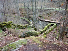 DSCN0133 DSCN0133