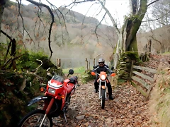 DSCN2092 DSCN2092