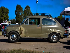 DSC_0746 DSC_0746