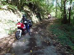 DSCN0458'2 DSCN0458'2