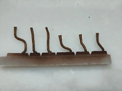 20250310_174440