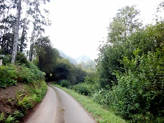 DSCN0889 DSCN0889