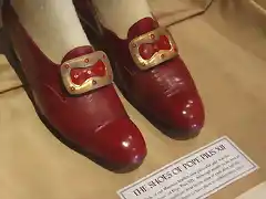 pio xii zapatos