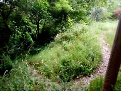 DSCN7483 DSCN7483