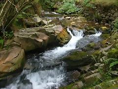 DSCN3766 DSCN3766