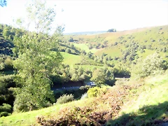 IMG_1028 IMG_1028