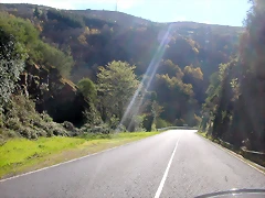 DSCN8636