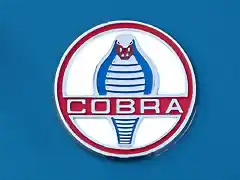 cobra-emblem-jill-reger